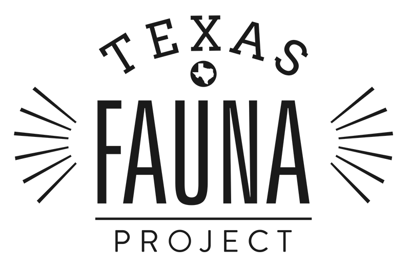 Texas Fauna Project